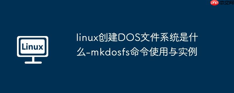 linux创建DOS文件系统是什么-mkdosfs命令使用与实例