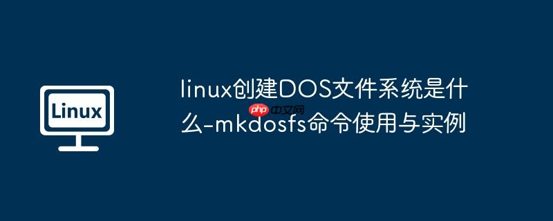 linux创建DOS文件系统是什么-mkdosfs命令使用与实例-小浪学习网