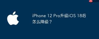 iPhone 12 Pro升级iOS 18后怎么降级？