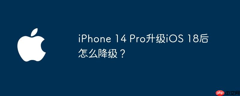 iphone14 pro正式曝光,4500mah+25w快充,还有副屏设计 iphone14pro升级18.5怎么降级