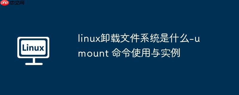 linux卸载文件系统是什么-umount 命令使用与实例
