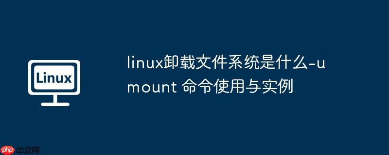 linux卸载文件系统是什么-umount 命令使用与实例