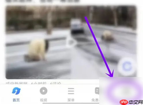 vivoصƵôת 
