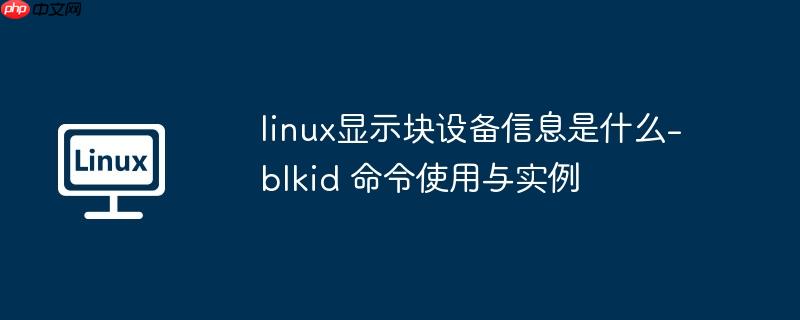 linux显示块设备信息是什么-blkid 命令使用与实例