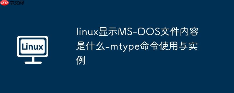 linux显示MS-DOS文件内容是什么-mtype命令使用与实例-小浪学习网