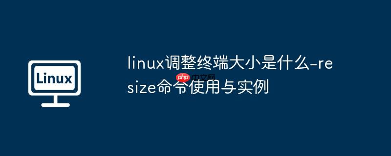 linux调整终端大小是什么-resize命令使用与实例