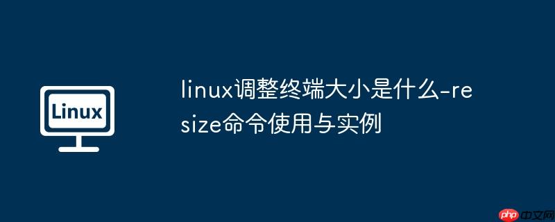linux调整终端大小是什么-resize命令使用与实例-小浪学习网