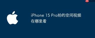 iPhone 15 Pro拍的空间视频在哪里看
