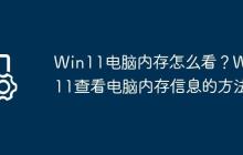 Win11电脑内存怎么看?Win11查看电脑内存信息的方法