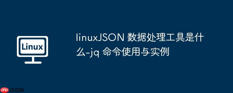 linuxJSON 数据处理工具是什么-jq 命令使用与实例