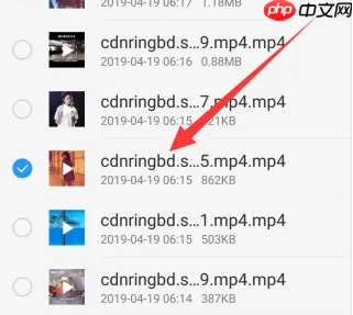 vivo浏览器怎么办缓存视频变为下载 vivo浏览器缓存视频提取方法
