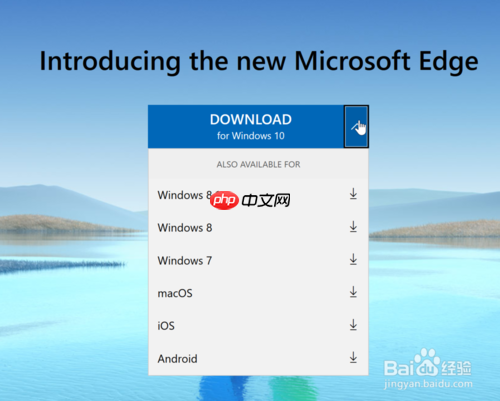 edge如何升级为最新版 新版edge更新方法