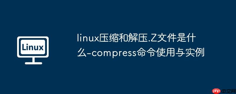 linux压缩和解压.Z文件是什么-compress命令使用与实例-小浪学习网