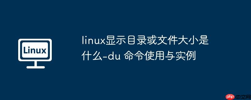 linux显示目录或文件大小是什么-du 命令使用与实例-小浪学习网