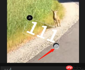 剪映文字怎么调整大小 剪映文字调整大小方法说明