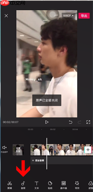 剪映如何消除原音 剪映消除原音方法介绍