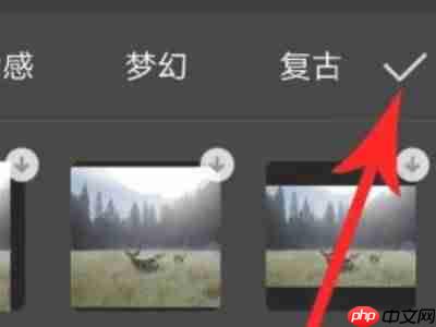 剪映怎么办视频变模糊 剪映把视频变模糊方法介绍