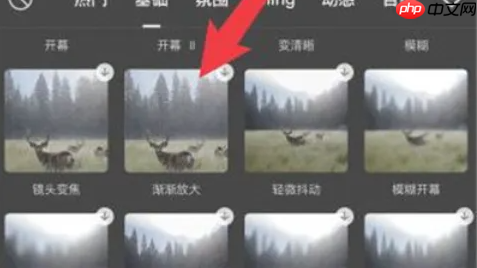 剪映如何放大视频中的某一部分 剪映放大视频某部分方法介绍