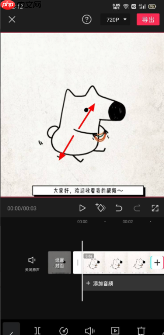 剪映怎么去除字幕 具体操作步骤