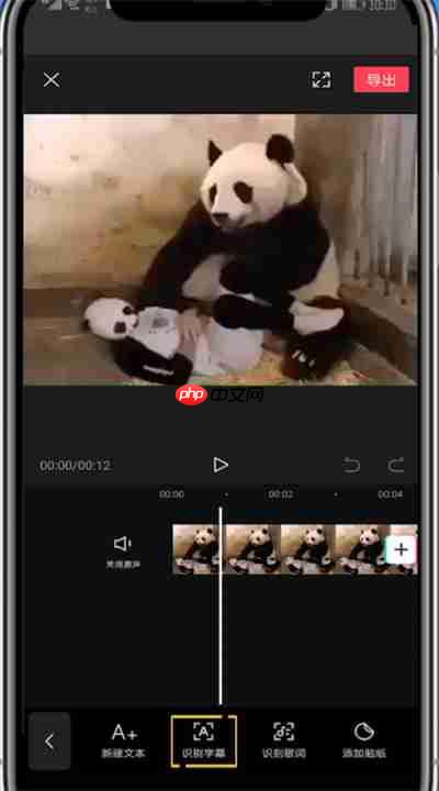 剪映如何识别配音里面的文字 具体操作方法
