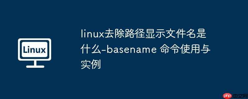 linux去除路径显示文件名是什么-basename 命令使用与实例