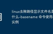 linux去除路徑顯示文件名是什么-basename 命令使用與實例
