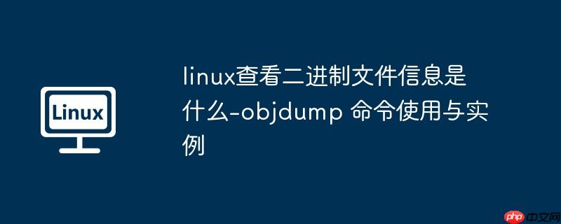 linux查看二进制文件信息是什么-objdump 命令使用与实例