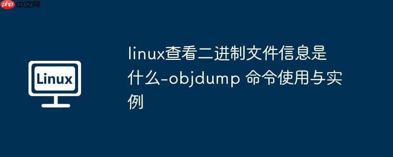 linux查看二进制文件信息是什么-objdump 命令使用与实例-小浪学习网