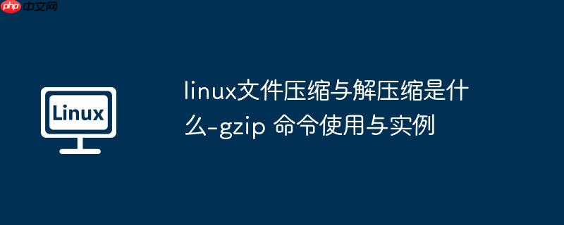 linux文件压缩与解压缩是什么-gzip 命令使用与实例