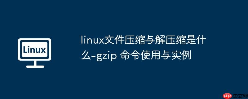 linux文件压缩与解压缩是什么-gzip 命令使用与实例-小浪学习网