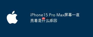 iPhone15 Pro Max屏幕一直亮着是什么原因