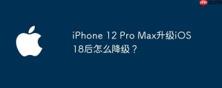 iPhone 12 Pro Max升级iOS 18后怎么降级？