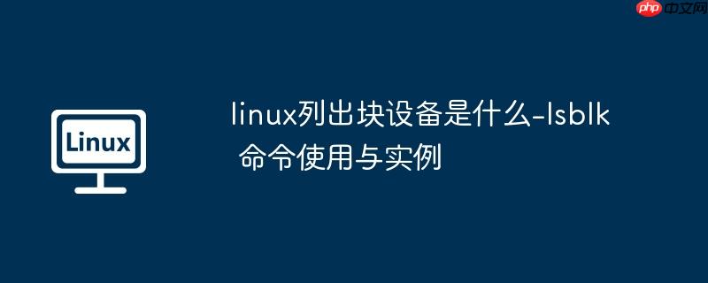 linux列出块设备是什么-lsblk 命令使用与实例
