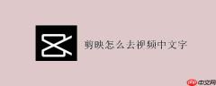 剪映怎么去除视频上原有的文字 具体操作步骤