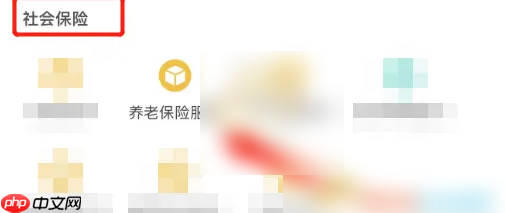 四川人社app如何办理申请养老保险延期 四川人社暂停养老保险方法