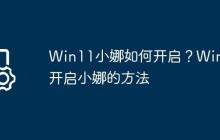 Win11小娜如何开启?Win11开启小娜的方法