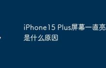 iPhone15 Plus屏幕一直亮著是什么原因