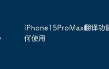 iPhone15ProMax翻译功能如何使用
