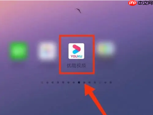 优酷app如何查看会员到期 优酷视频看会员到期时间教程
