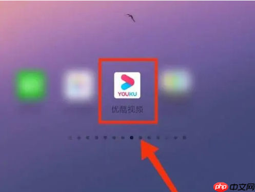 优酷app如何查看会员到期 优酷视频看会员到期时间教程