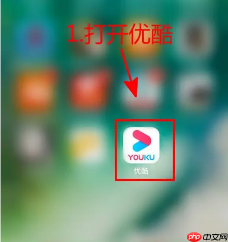 优酷播放器怎么切换音轨 优酷播放器切换声道方法介绍