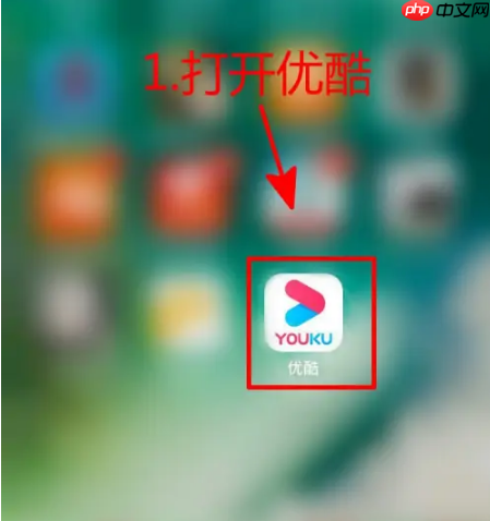 优酷播放器怎么切换音轨 优酷播放器切换声道方法介绍