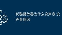 Mengapa tidak ada suara pada pemain youku? Mengapa tidak ada suara?