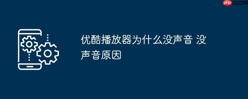 优酷播放器为什么没声音 没声音原因