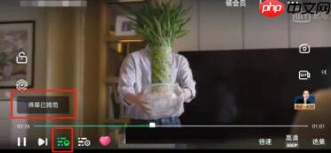 奇异果tv如何打开播放器*设置 爱奇艺开启精简模式方法