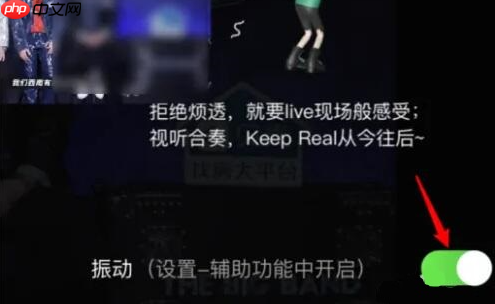 爱奇艺视频为什么会振动 爱奇艺看视频震动关闭方法