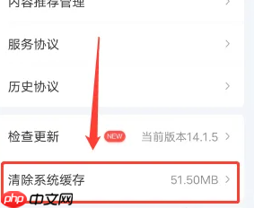 银河奇异果如何清理缓存 具体操作方法介绍