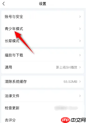 银河奇异果怎么设置青少年模式	 爱奇艺开启青少年模式教程