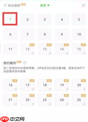 爱奇艺视频怎么保存到本地相册 具体操作方法介绍