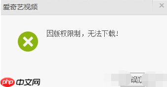 爱奇艺视频怎么下载到u盘 具体操作方法介绍
